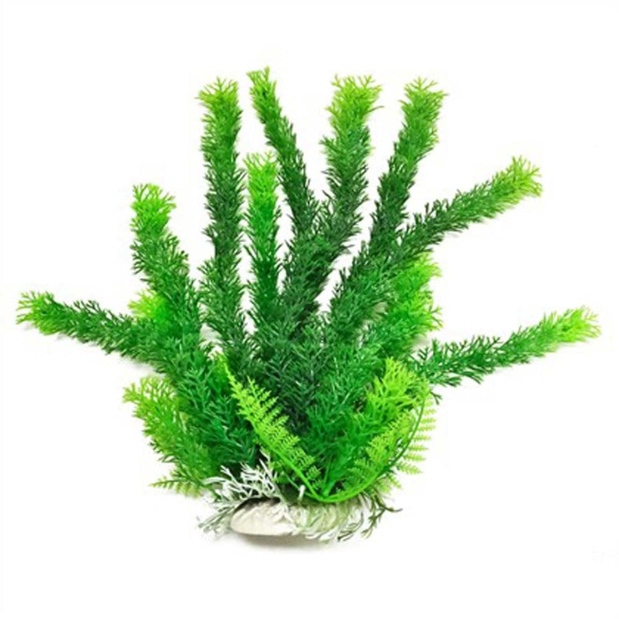Aquarium Plant Cabomba - 12" - #26886