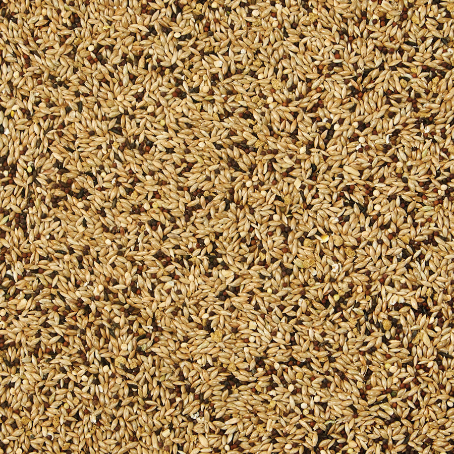 Food Canary and Finch Supreme - 2 lbs - #27212