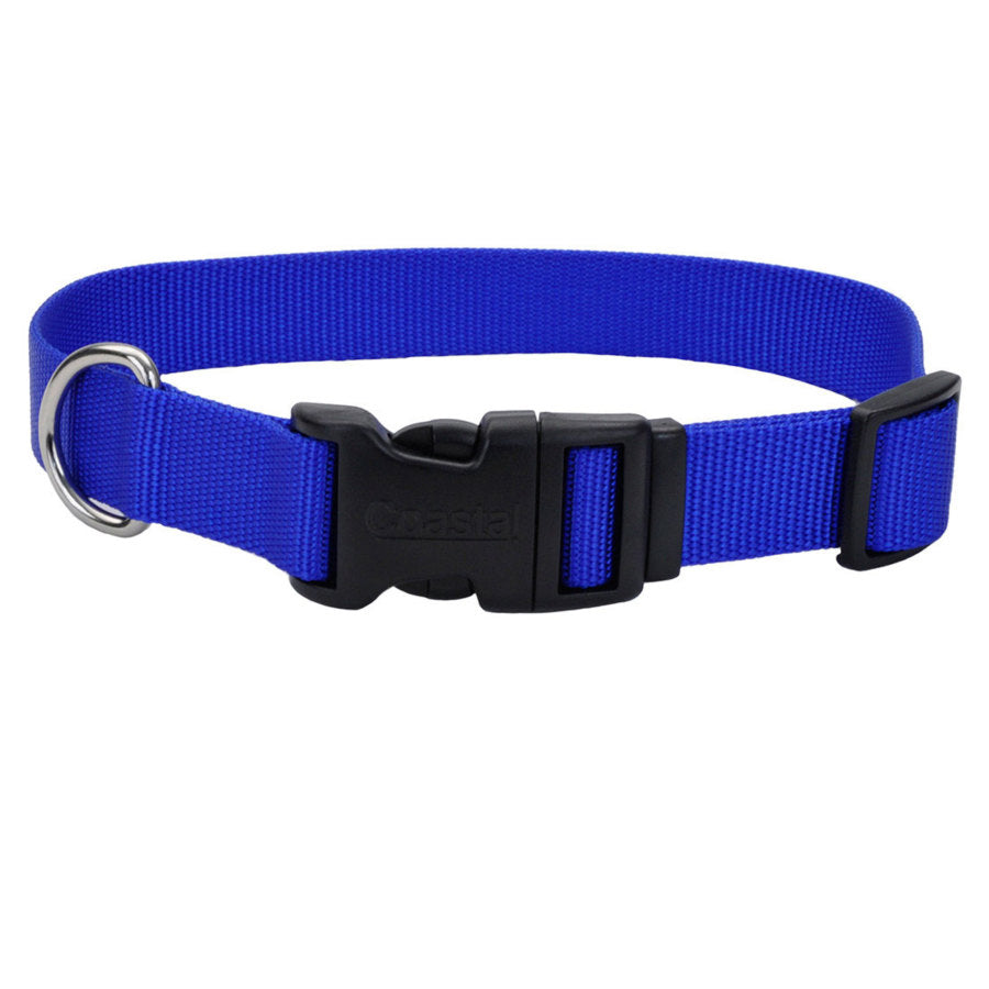 Cat or Dog Collar - XS - 8"-12" - Coastal - #32951